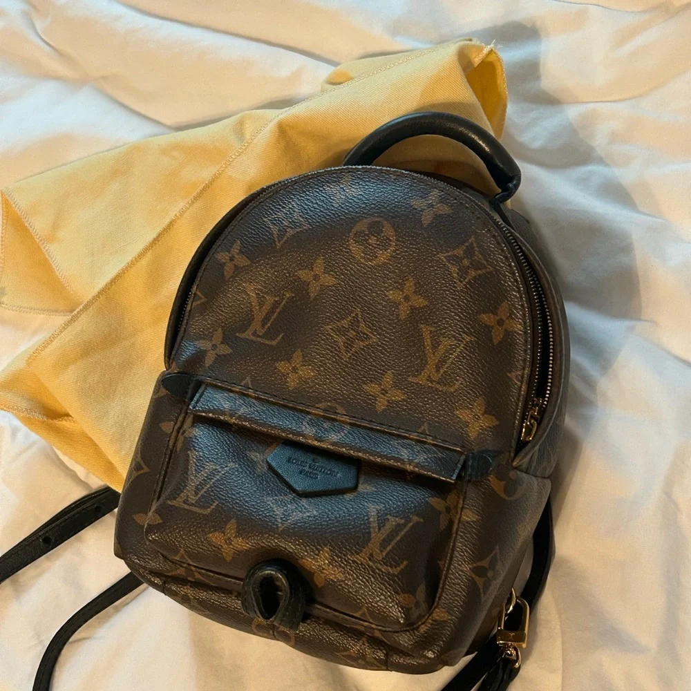 Louis Vuitton Palm Springs Mini - Picture 1 of 8